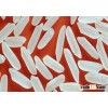 Jasmine rice 5% broken - Hot sales, hot quality SALE4 @ VINARICE.VN