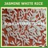 JASMINE 5% BROKEN - CHEAPEST PRICE