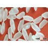 HTTP://WWW.VINARICE.VN - Medium grain white rice 5% broken - HIGH QUALITY