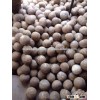 FULL HUSKED COCONUT _ QQ : 2290755420