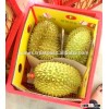 VIET NAM FRESH DURIAN