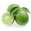 Fresh Lime