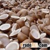 Dried Matured Copra Coconut