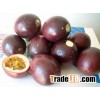 Fresh passion fruits