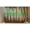 BEST PRICE OF SUGAR CANE WITH HIGH QUALITY FROM VIETNAM