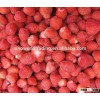 seedless strawberries high quality 2016 crop hot sale
