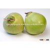 Vietnam Fresh Young Coconut - Fresh Mature Coconut - Dried whole coconut