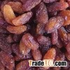 All types of raisins, green raisin, red raisin and golden raisin