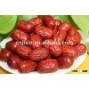 High quality Chinese organic red dates wholesale price for the world