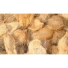 wholesale coconuts