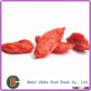 Bayas de goji secas fruta, SUPPLY BY CHUBO FOOD TRADE CO., LTD