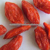 factory supply directly goji berry Wolfberry organic goji berry for sale