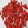 High Quality Goji Berries, EU Certified Organic Dried fruit Goji Berries