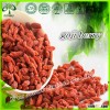 goji berry price/dried goji berry