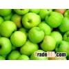 Granny smith apples for sale