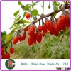 2015 harvest ningxia dried goji berry, names of all dry fruits
