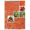 sun dried goji berry/organic dried goji berries organic goji berry for sale