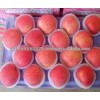 Fresh Red Fuji Apple