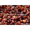 Organic Dried Sultana Raisins