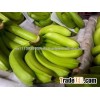 Fresh Cavendish Banana