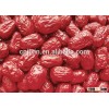 Best Quality and Cheap Price red dates for sale