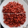 New Season High Quality IQF Frozen fruit Goji Berries