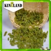 xinjiang China green sultanas green grapes green raisins seedless raisins 99% green India market