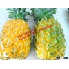FRESH PINEAPPLE +84963818434