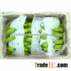 GOOD QUALITY PREMIUM FRESH GREEN BANANA