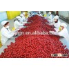 fresh Dried red Chinese dates/jujube for sale