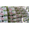 High quality fresh seedless lime lemon from Vietnam