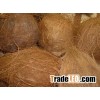 Offer price in fresh coconuts from india