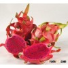 Red Heart Fresh Dragon Fruit