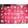 Fresh Chinese Fuji apple