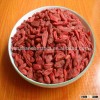 Ningxia Speciality Goji Berry with High Worldwide Reputation