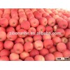 Delicious Fresh Fuji apple