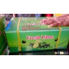 FRESH LIME AND FRESH LEMON BEST PRICE