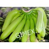 Fresh banana exports high quality