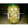 Pickled Onion (Size: 370ml)