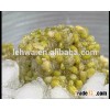 Top Choose Canned Sweet Mung (Green) Beans for beverage and food