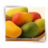 Mango pulp supplier from India