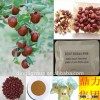 Dried jujube powder