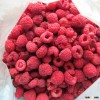 IQF FROZEN RASPBERRY CRUMBLE