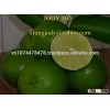 FRESH / FROZEN LIME