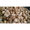 Dried Mature Coconut - QQ : 2598494113