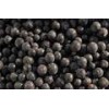IQF Wild Bilberries