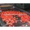 IQF WHOLE STRAWBERRY Frozen berry,Frozen/IQF Strawberry whole/slice/dice,