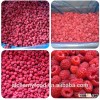 Chinese frozen fruit frozen raspberry
