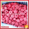 Good Quality Whole Iqf Raspberry And Berries