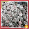 Grade A Frozen IQF Blackberry Price